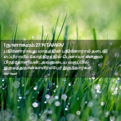 Picture 02 - 1 நாளாகமம் 27:14 TAMIRV - பதினோராவது - Bible Verse Picture