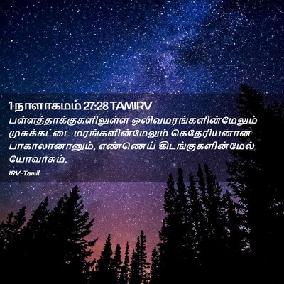 Picture 02 - 1 நாளாகமம் 27:28 TAMIRV -  - Bible Verse Picture