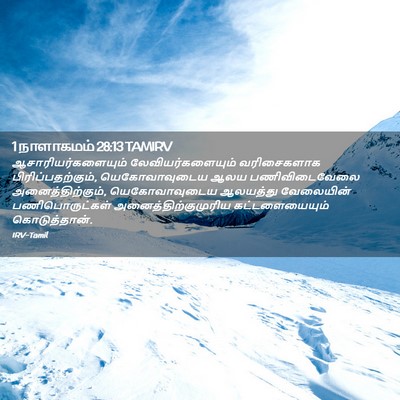 Picture 02 - 1 நாளாகமம் 28:13 TAMIRV - ஆசாரியர்களையும் - Bible Verse Picture
