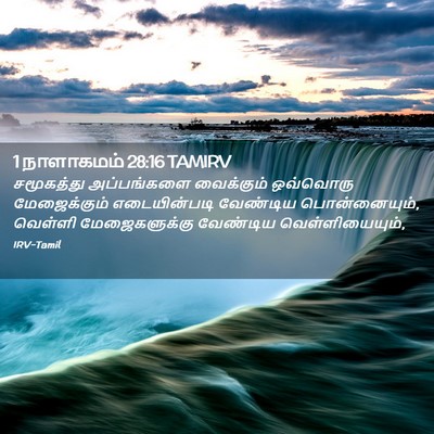 Picture 02 - 1 நாளாகமம் 28:16 TAMIRV - சமூகத்து - Bible Verse Picture
