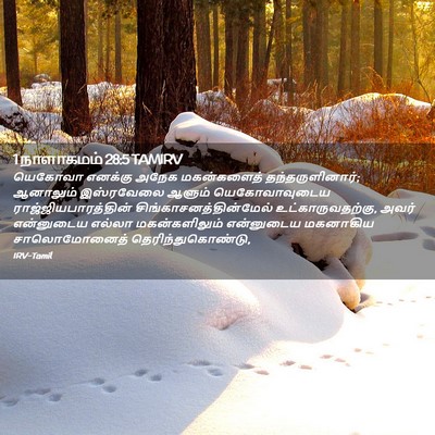 Picture 02 - 1 நாளாகமம் 28:5 TAMIRV - யெகோவா எனக்கு - Bible Verse Picture