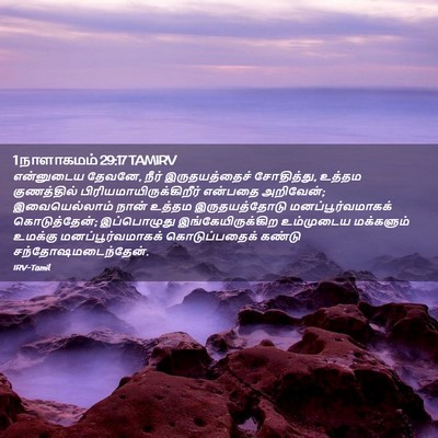 Picture 02 - 1 நாளாகமம் 29:17 TAMIRV - என்னுடைய தேவனே, - Bible Verse Picture