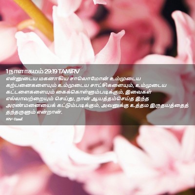 Picture 02 - 1 நாளாகமம் 29:19 TAMIRV - என்னுடைய மகனாகிய - Bible Verse Picture