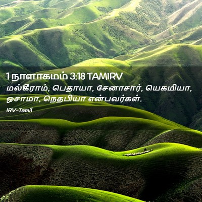 Picture 02 - 1 நாளாகமம் 3:18 TAMIRV - மல்கீராம், பெதாயா, - Bible Verse Picture