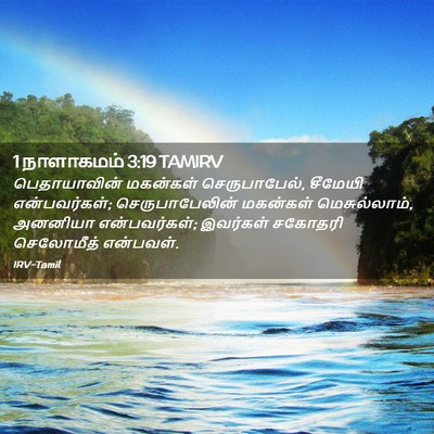 Picture 02 - 1 நாளாகமம் 3:19 TAMIRV - பெதாயாவின் - Bible Verse Picture