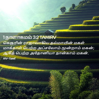 Picture 02 - 1 நாளாகமம் 3:2 TAMIRV - கெசூரின் - Bible Verse Picture