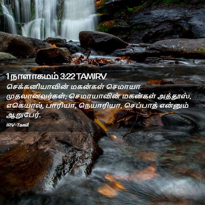 Picture 02 - 1 நாளாகமம் 3:22 TAMIRV - செக்கனியாவின் - Bible Verse Picture