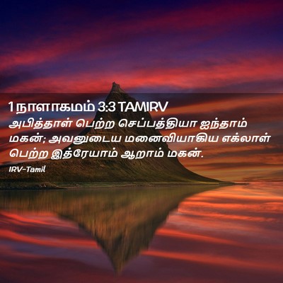 Picture 02 - 1 நாளாகமம் 3:3 TAMIRV - அபித்தாள் பெற்ற - Bible Verse Picture