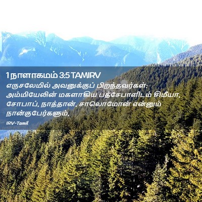 Picture 02 - 1 நாளாகமம் 3:5 TAMIRV - எருசலேமில் - Bible Verse Picture