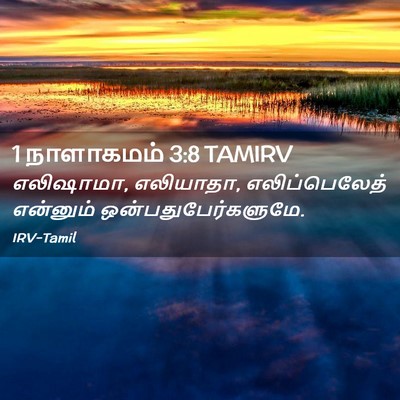 Picture 02 - 1 நாளாகமம் 3:8 TAMIRV - எலிஷாமா, எலியாதா, - Bible Verse Picture