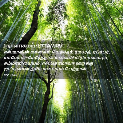 Picture 02 - 1 நாளாகமம் 4:17 TAMIRV - எஸ்றாவின் மகன்கள் - Bible Verse Picture
