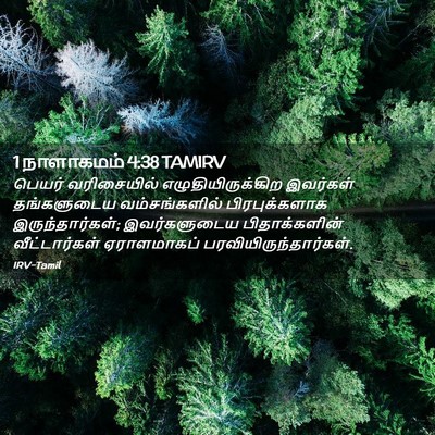 Picture 02 - 1 நாளாகமம் 4:38 TAMIRV - பெயர் வரிசையில் - Bible Verse Picture