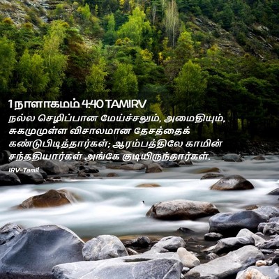 Picture 02 - 1 நாளாகமம் 4:40 TAMIRV - நல்ல செழிப்பான - Bible Verse Picture