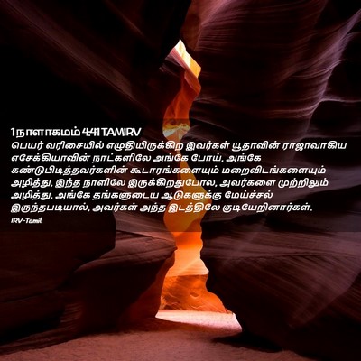 Picture 02 - 1 நாளாகமம் 4:41 TAMIRV - பெயர் வரிசையில் - Bible Verse Picture