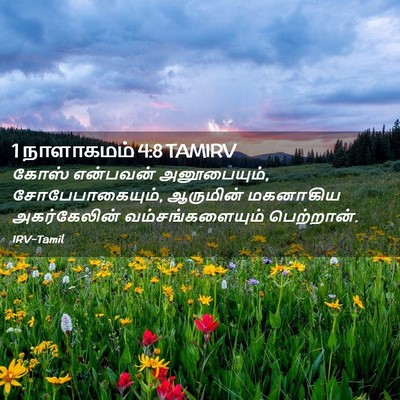Picture 02 - 1 நாளாகமம் 4:8 TAMIRV - கோஸ் என்பவன் - Bible Verse Picture