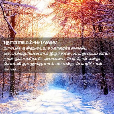 Picture 02 - 1 நாளாகமம் 4:9 TAMIRV - யாபேஸ் தன்னுடைய - Bible Verse Picture