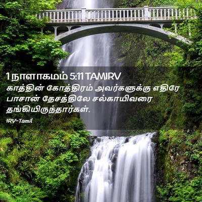 Picture 02 - 1 நாளாகமம் 5:11 TAMIRV - காத்தின் - Bible Verse Picture
