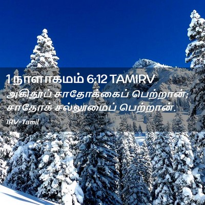 Picture 02 - 1 நாளாகமம் 6:12 TAMIRV - அகிதூப் - Bible Verse Picture