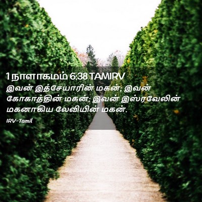 Picture 02 - 1 நாளாகமம் 6:38 TAMIRV - இவன் இத்சேயாரின் - Bible Verse Picture