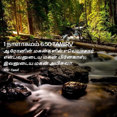 Picture 02 - 1 நாளாகமம் 6:50 TAMIRV - ஆரோனின் மகன்களில் - Bible Verse Picture