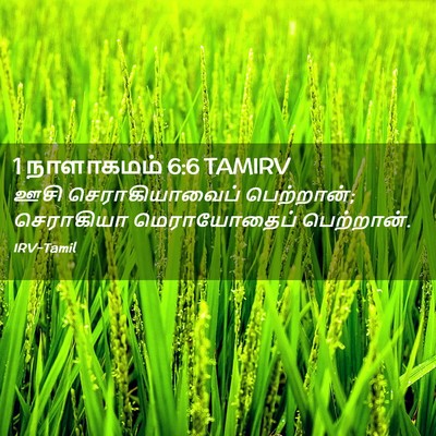 Picture 02 - 1 நாளாகமம் 6:6 TAMIRV - ஊசி செராகியாவைப் - Bible Verse Picture