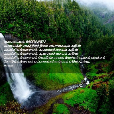 Picture 02 - 1 நாளாகமம் 6:60 TAMIRV - பென்யமீன் - Bible Verse Picture