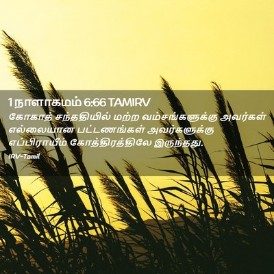 Picture 02 - 1 நாளாகமம் 6:66 TAMIRV - கோகாத் சந்ததியில் - Bible Verse Picture