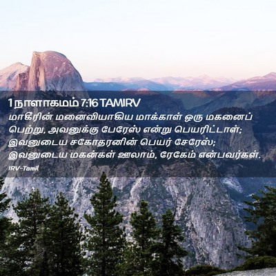 Picture 02 - 1 நாளாகமம் 7:16 TAMIRV - மாகீரின் - Bible Verse Picture