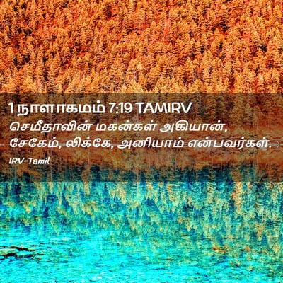 Picture 02 - 1 நாளாகமம் 7:19 TAMIRV - செமீதாவின் - Bible Verse Picture
