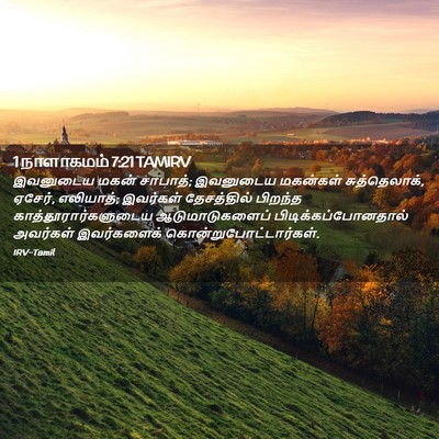 Picture 02 - 1 நாளாகமம் 7:21 TAMIRV - இவனுடைய மகன் - Bible Verse Picture