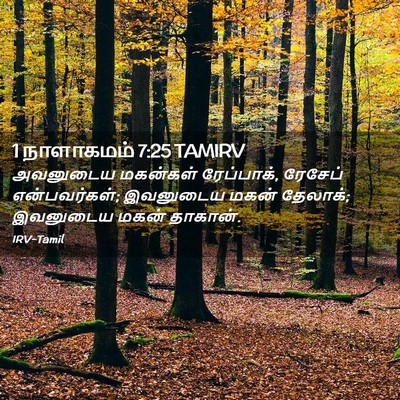 Picture 02 - 1 நாளாகமம் 7:25 TAMIRV - அவனுடைய மகன்கள் - Bible Verse Picture