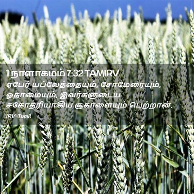 Picture 02 - 1 நாளாகமம் 7:32 TAMIRV - ஏபேர் - Bible Verse Picture
