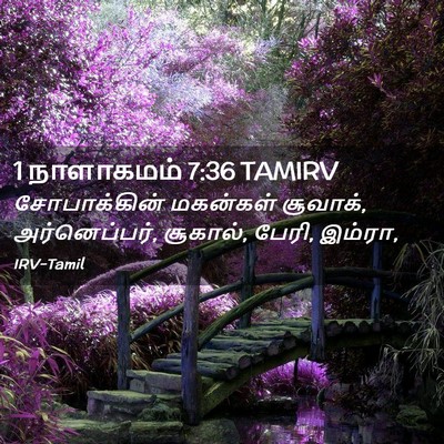Picture 02 - 1 நாளாகமம் 7:36 TAMIRV - சோபாக்கின் - Bible Verse Picture