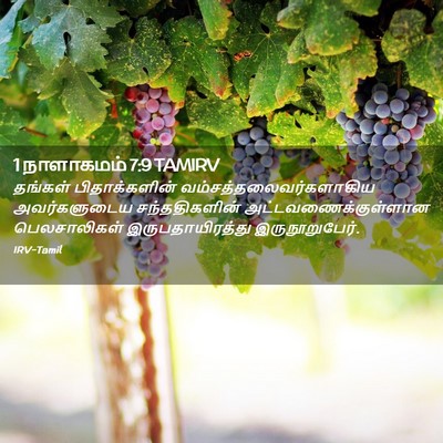 Picture 02 - 1 நாளாகமம் 7:9 TAMIRV - தங்கள் - Bible Verse Picture