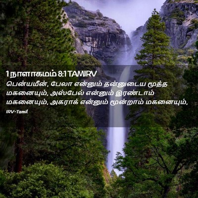 Picture 02 - 1 நாளாகமம் 8:1 TAMIRV - பென்யமீன், பேலா - Bible Verse Picture
