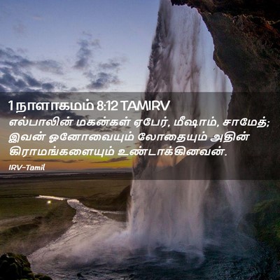 Picture 02 - 1 நாளாகமம் 8:12 TAMIRV - எல்பாலின் மகன்கள் - Bible Verse Picture
