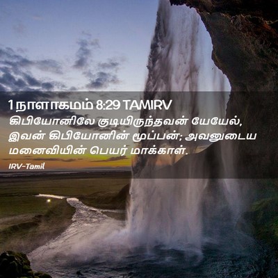 Picture 02 - 1 நாளாகமம் 8:29 TAMIRV - கிபியோனிலே - Bible Verse Picture