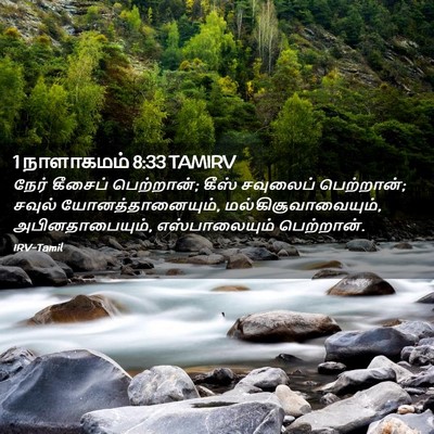 Picture 02 - 1 நாளாகமம் 8:33 TAMIRV - நேர் கீசைப் - Bible Verse Picture