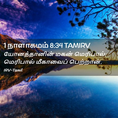 Picture 02 - 1 நாளாகமம் 8:34 TAMIRV - யோனத்தானின் மகன் - Bible Verse Picture