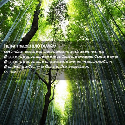 Picture 02 - 1 நாளாகமம் 8:40 TAMIRV - ஊலாமின் மகன்கள் - Bible Verse Picture
