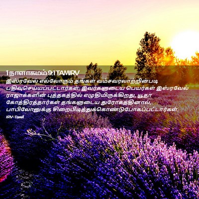 Picture 02 - 1 நாளாகமம் 9:1 TAMIRV - இஸ்ரவேல் - Bible Verse Picture