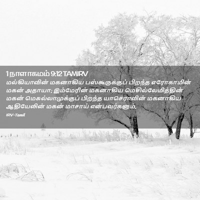 Picture 02 - 1 நாளாகமம் 9:12 TAMIRV - மல்கியாவின் - Bible Verse Picture