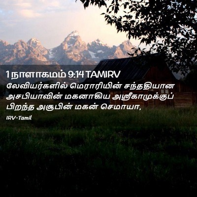 Picture 02 - 1 நாளாகமம் 9:14 TAMIRV - லேவியர்களில் - Bible Verse Picture