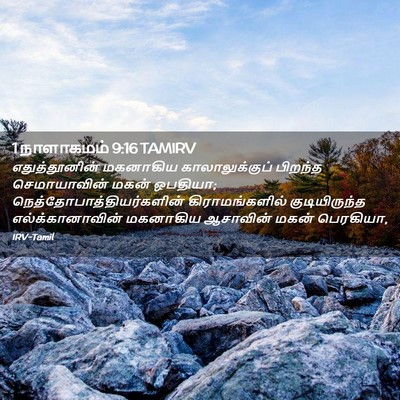 Picture 02 - 1 நாளாகமம் 9:16 TAMIRV - எதுத்தூனின் - Bible Verse Picture