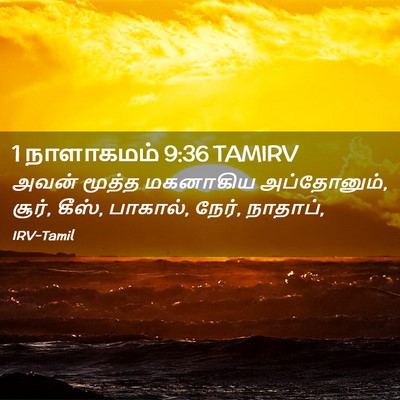 Picture 02 - 1 நாளாகமம் 9:36 TAMIRV - அவன் மூத்த - Bible Verse Picture