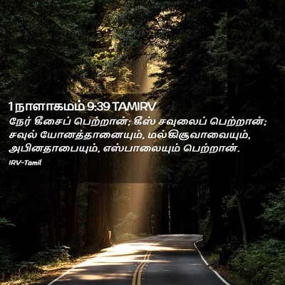 Picture 02 - 1 நாளாகமம் 9:39 TAMIRV - நேர் கீசைப் - Bible Verse Picture