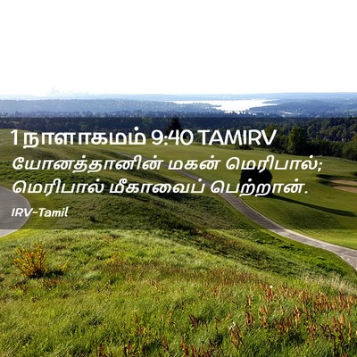 Picture 02 - 1 நாளாகமம் 9:40 TAMIRV - யோனத்தானின் மகன் - Bible Verse Picture