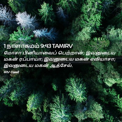 Picture 02 - 1 நாளாகமம் 9:43 TAMIRV - மோசா பினியாவைப் - Bible Verse Picture