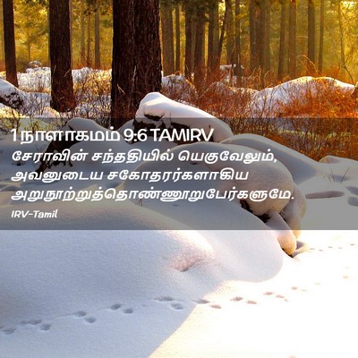 Picture 02 - 1 நாளாகமம் 9:6 TAMIRV - சேராவின் - Bible Verse Picture