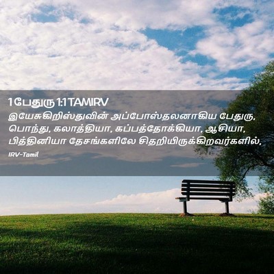 Picture 02 - 1 பேதுரு 1:1 TAMIRV -  - Bible Verse Picture